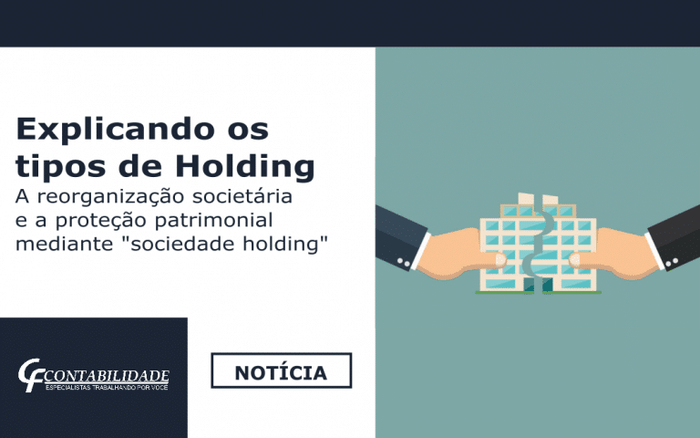 Explicando Os Tipos De Holding